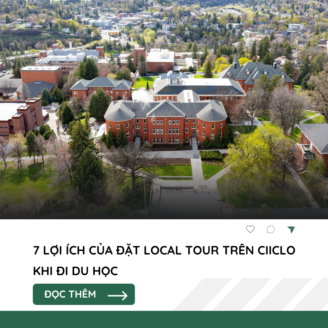 7 Lợi Ích Của Đặt Local Tour Trên Ciiclo Khi Đi Du Học