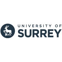 Computer Science BSc (Hons) with professional training
